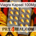 Viagra Capsule 100Mg cialis2